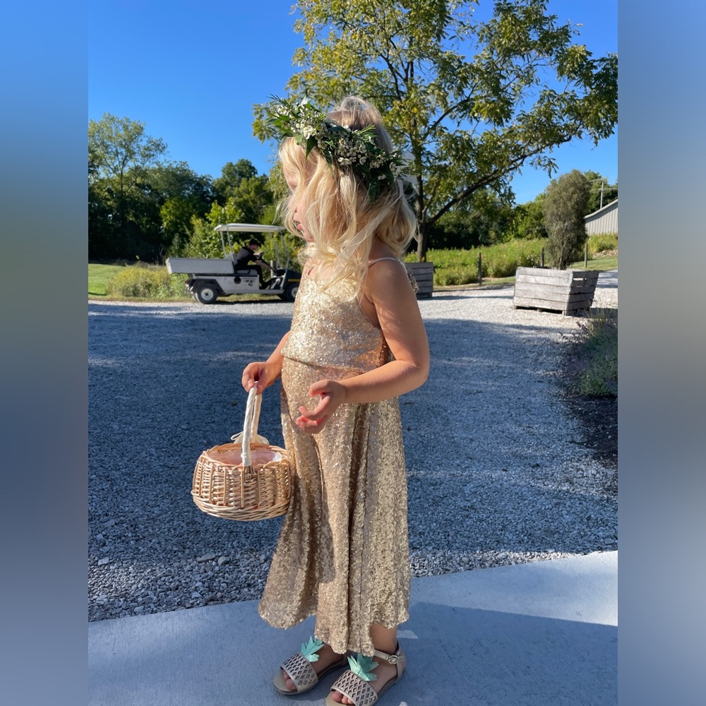 REVELRY Kids Hazel Sequin Dress champagne gold flower girl kids midi size 3T